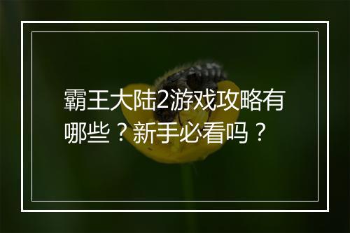 霸王大陆2游戏攻略有哪些？新手必看吗？