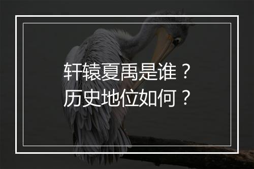 轩辕夏禹是谁？历史地位如何？