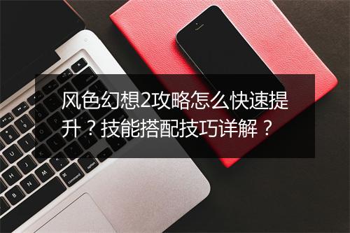 风色幻想2攻略怎么快速提升？技能搭配技巧详解？