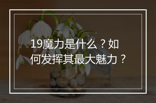 19魔力是什么？如何发挥其最大魅力？
