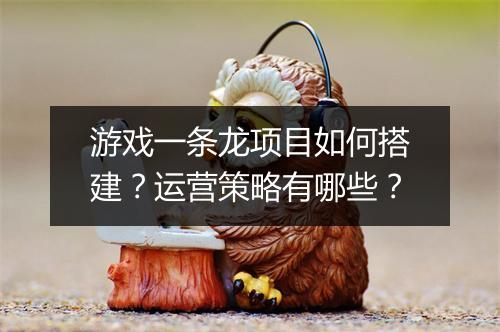 游戏一条龙项目如何搭建？运营策略有哪些？