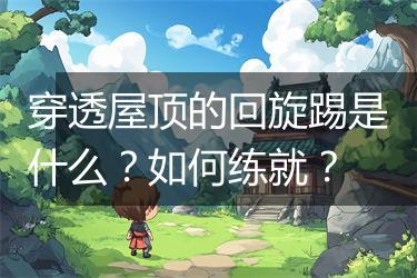 穿透屋顶的回旋踢是什么？如何练就？