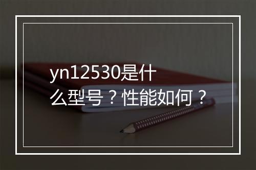 yn12530是什么型号？性能如何？