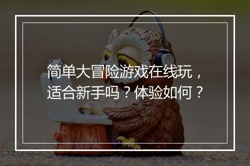 简单大冒险游戏在线玩，适合新手吗？体验如何？
