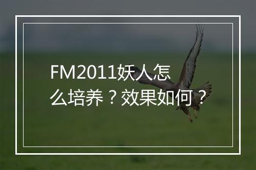 FM2011妖人怎么培养？效果如何？