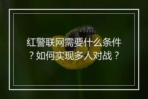 红警联网需要什么条件？如何实现多人对战？