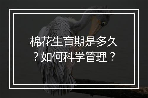 棉花生育期是多久？如何科学管理？