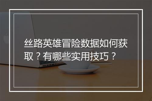 丝路英雄冒险数据如何获取？有哪些实用技巧？