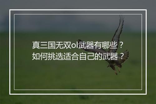 真三国无双ol武器有哪些？如何挑选适合自己的武器？