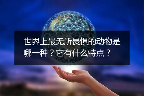 世界上最无所畏惧的动物是哪一种？它有什么特点？