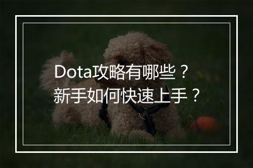 Dota攻略有哪些？新手如何快速上手？