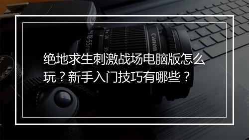 绝地求生刺激战场电脑版怎么玩？新手入门技巧有哪些？