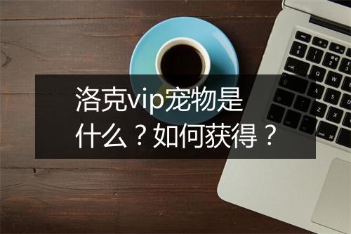 洛克vip宠物是什么？如何获得？
