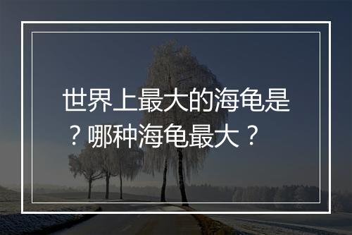 世界上最大的海龟是？哪种海龟最大？
