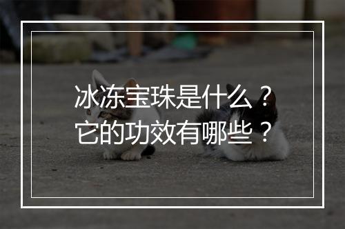 冰冻宝珠是什么？它的功效有哪些？