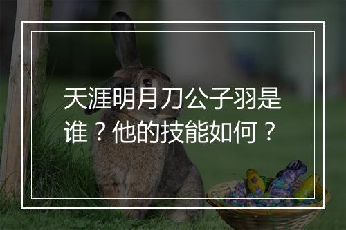 天涯明月刀公子羽是谁？他的技能如何？