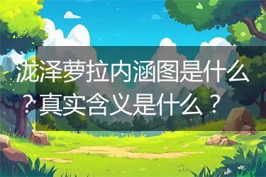 泷泽萝拉内涵图是什么？真实含义是什么？
