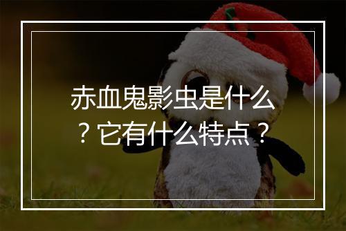 赤血鬼影虫是什么？它有什么特点？