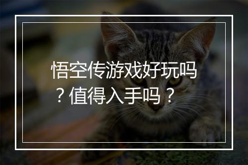 悟空传游戏好玩吗？值得入手吗？