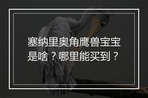 塞纳里奥角鹰兽宝宝是啥？哪里能买到？