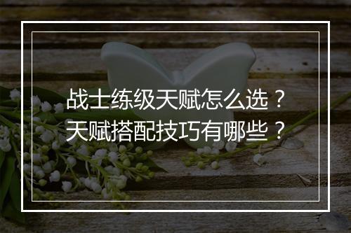 战士练级天赋怎么选？天赋搭配技巧有哪些？