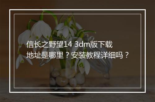 信长之野望14 3dm版下载地址是哪里？安装教程详细吗？
