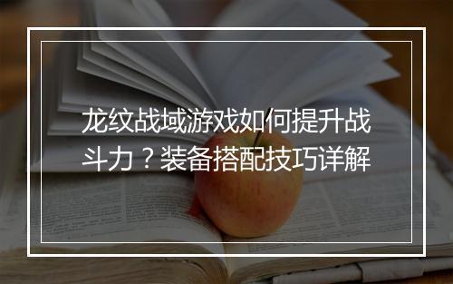 龙纹战域游戏如何提升战斗力？装备搭配技巧详解