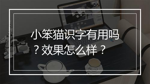 小笨猫识字有用吗？效果怎么样？