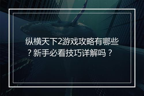 纵横天下2游戏攻略有哪些？新手必看技巧详解吗？