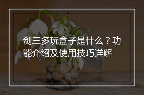 剑三多玩盒子是什么？功能介绍及使用技巧详解