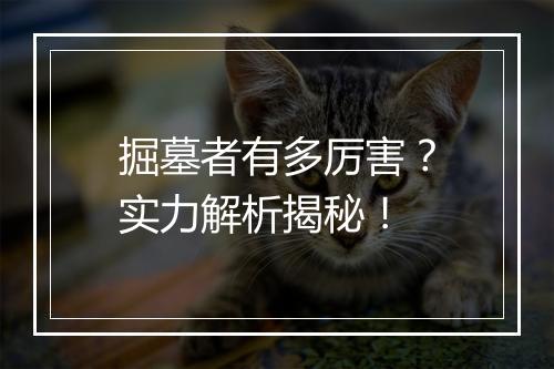 掘墓者有多厉害？实力解析揭秘！