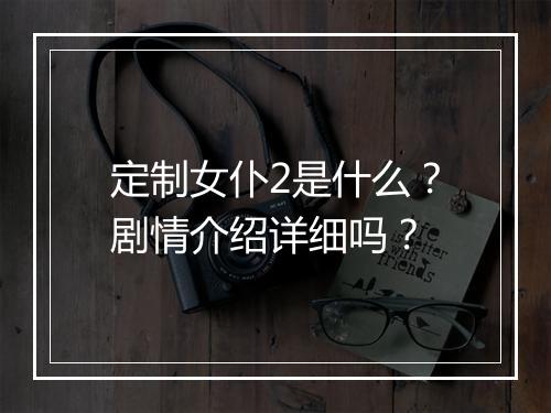 定制女仆2是什么？剧情介绍详细吗？