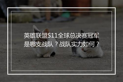 英雄联盟S11全球总决赛冠军是哪支战队？战队实力如何？