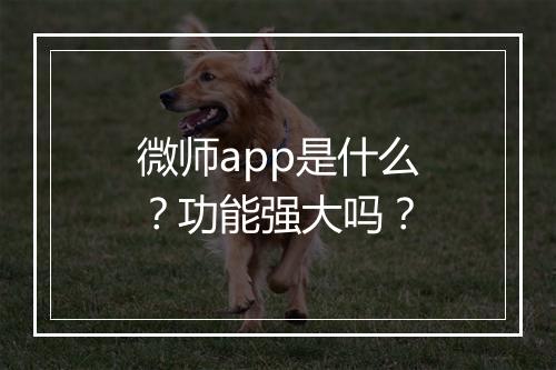 微师app是什么？功能强大吗？
