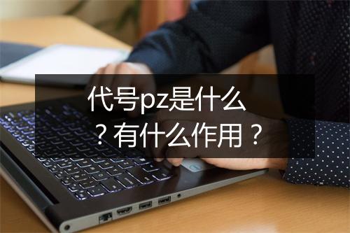 代号pz是什么？有什么作用？