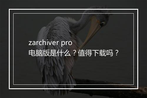 zarchiver pro电脑版是什么？值得下载吗？