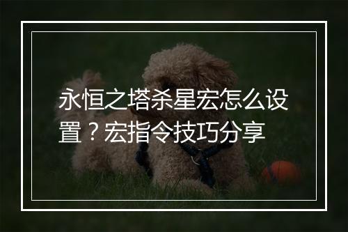 永恒之塔杀星宏怎么设置？宏指令技巧分享