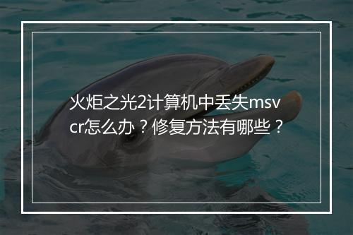 火炬之光2计算机中丢失msvcr怎么办？修复方法有哪些？