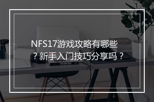 NFS17游戏攻略有哪些？新手入门技巧分享吗？