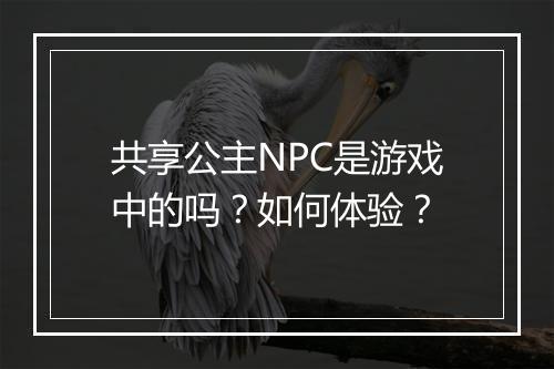 共享公主NPC是游戏中的吗？如何体验？