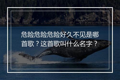 危险危险危险好久不见是哪首歌？这首歌叫什么名字？