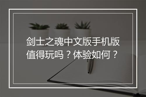 剑士之魂中文版手机版值得玩吗？体验如何？