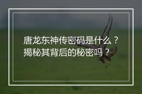 唐龙东神传密码是什么？揭秘其背后的秘密吗？