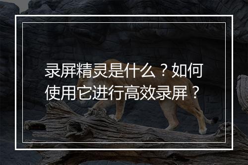 录屏精灵是什么？如何使用它进行高效录屏？