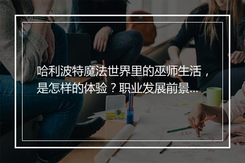 哈利波特魔法世界里的巫师生活，是怎样的体验？职业发展前景如何？