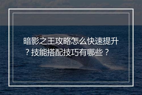 暗影之王攻略怎么快速提升？技能搭配技巧有哪些？