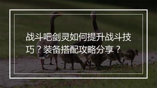 战斗吧剑灵如何提升战斗技巧？装备搭配攻略分享？