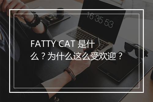 FATTY CAT 是什么？为什么这么受欢迎？