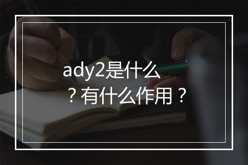 ady2是什么？有什么作用？