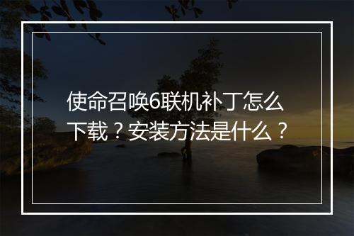 使命召唤6联机补丁怎么下载？安装方法是什么？